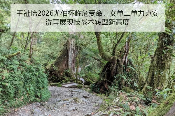 wang-zhi-yi-you-bo-bei-lin-wei-shou-ming-nv-dan-er-dan-li-ke-an-xi-ying-zhan-xian-ji-zhan-shu-zhuan-xing-xin-gao-du-1-464.jpg